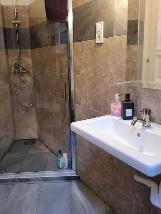 Queen Erzsebet Apartment Budapest Ngoại thất bức ảnh